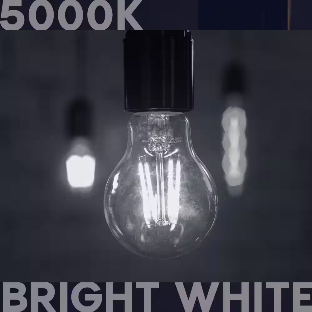 None 100-Watt Equivalent A19 1600 Lumens Dimmable E26 Edison LED Light Bulb 12-Watt Damp Rated UL 5000K Bright White (4-Pack)