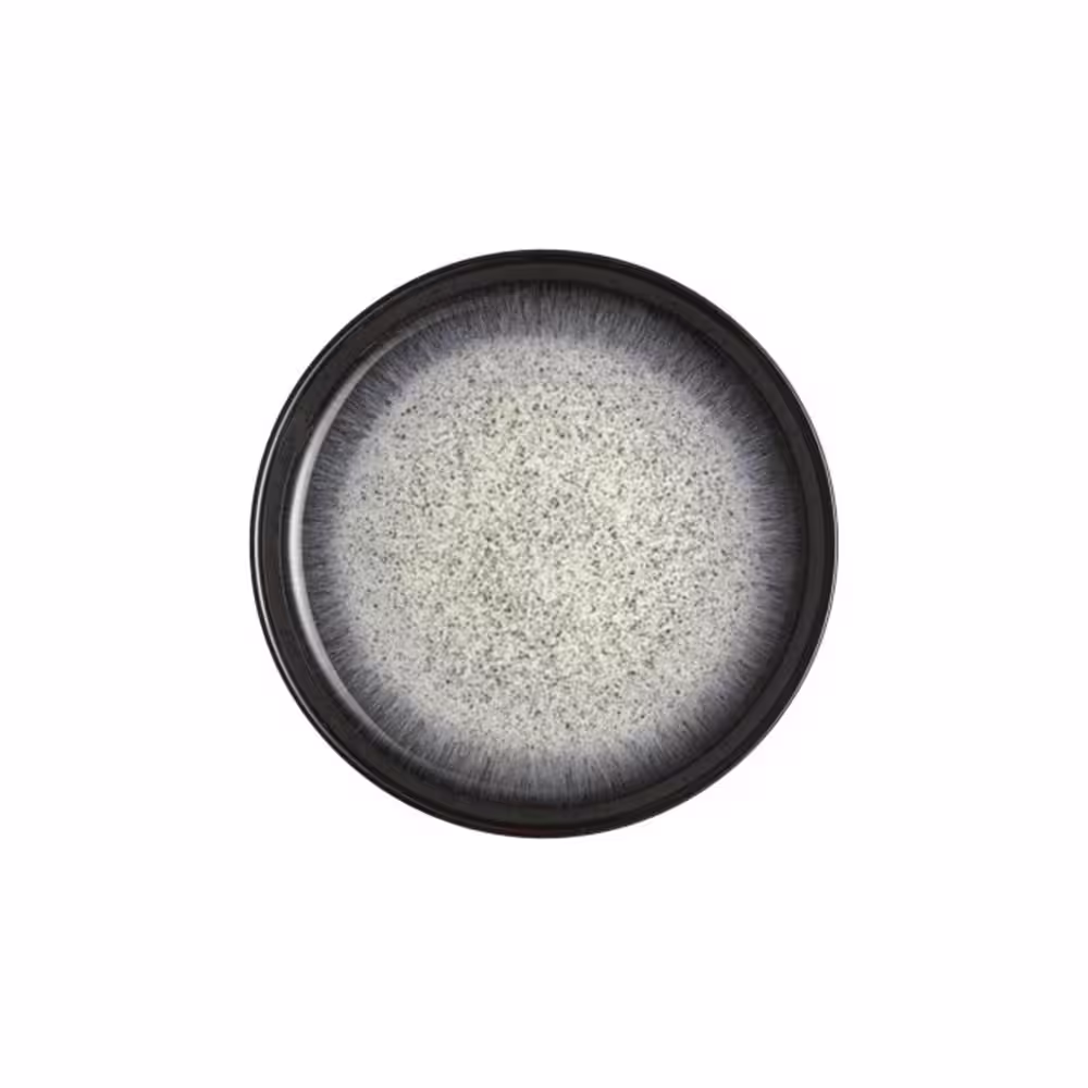 Denby Halo Coupe Multi-Colored Dinner Plate (Set of 4)