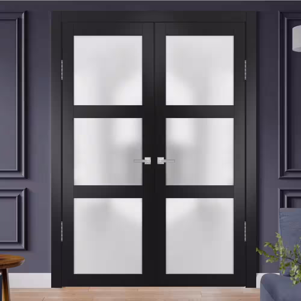 Sartodoors 2552 48 in. x 80 in. Universal Handling Frosted Glass Solid Core Black Finished Pine Wood Double French Door